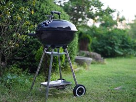 Exploring Outdoor Cooking: Blackstone Griddle vs. Weber Gas Grill