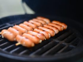 Discover the Best Portable Charcoal Grills for Your Next Outdoor Adventure