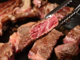 Weber Spirit vs. Weber Genesis: Unveiling the Best Grill for Your Cooking Needs