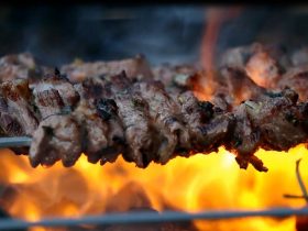 Ultimate Guide to Choosing the Best Electric Grill for Your Home Cooking Needs