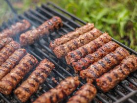Top Picks for Best Gas Grills Under $1000: Quality Meets Affordability
