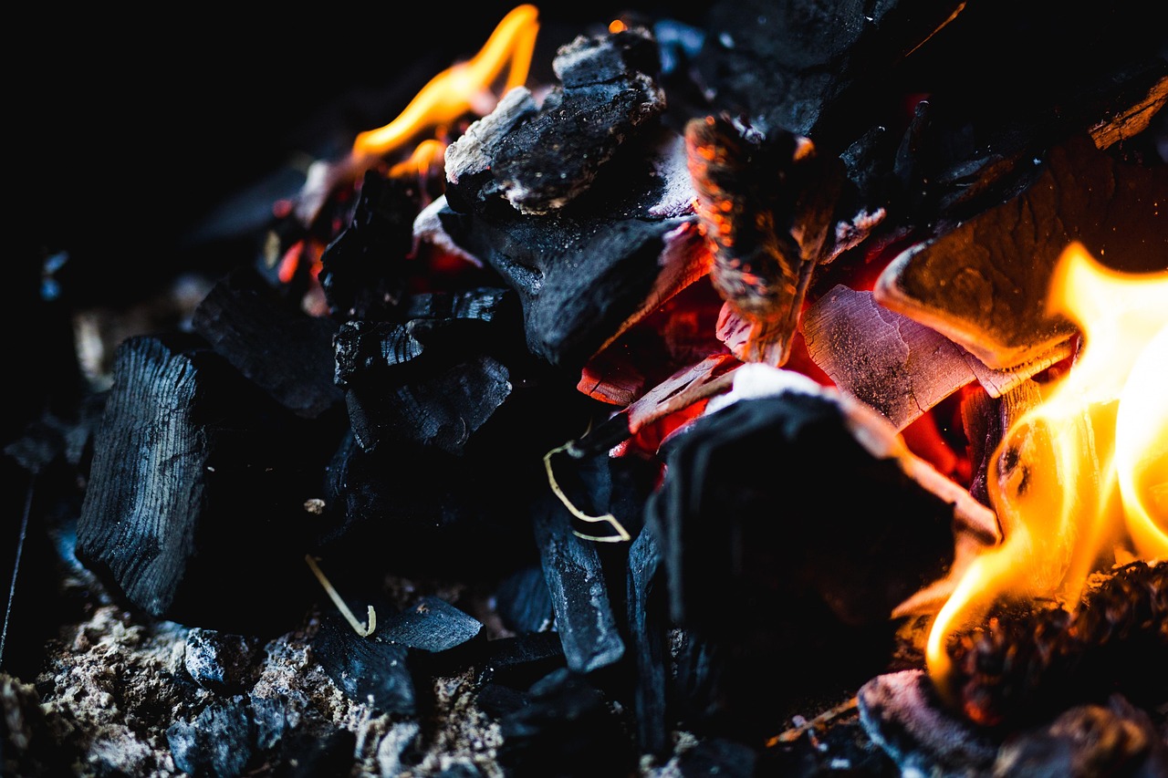 Top Picks for the Best Grill Brushes: Keep Your BBQ Spotless and Safe