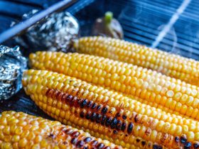 Mastering the Heat: Direct vs Indirect Grilling Explained