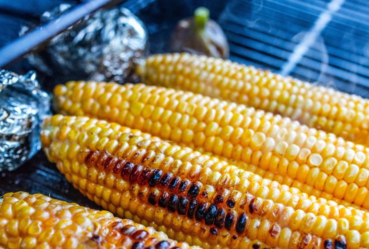 Mastering the Heat: Direct vs Indirect Grilling Explained