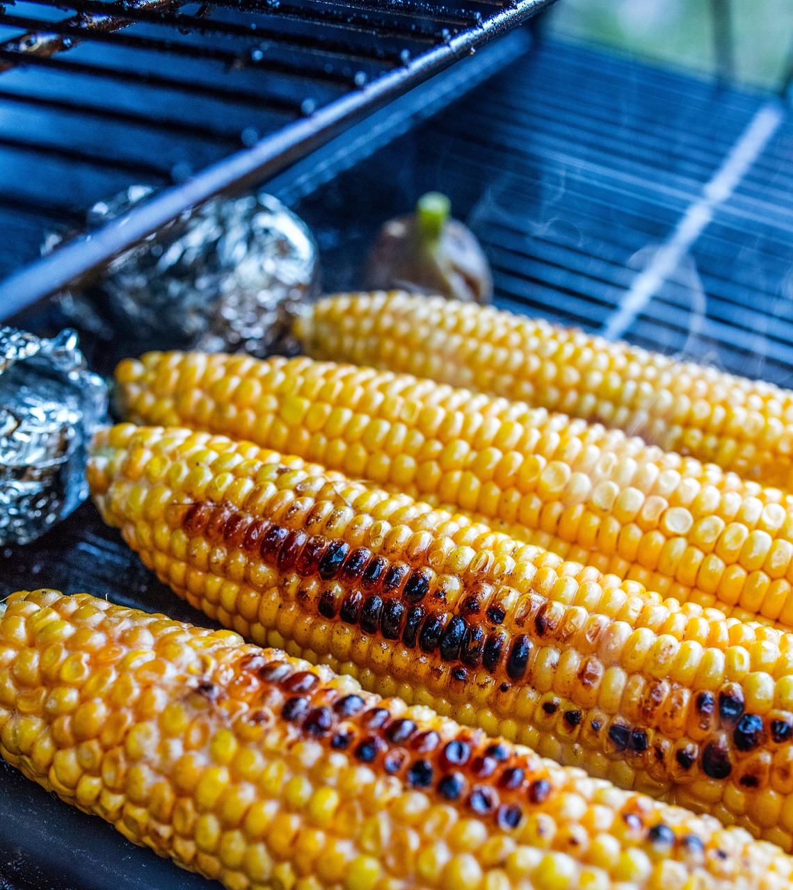 Mastering the Heat: Direct vs Indirect Grilling Explained