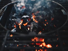 Best Gas Grills of 2026: Tested Models & Top Picks