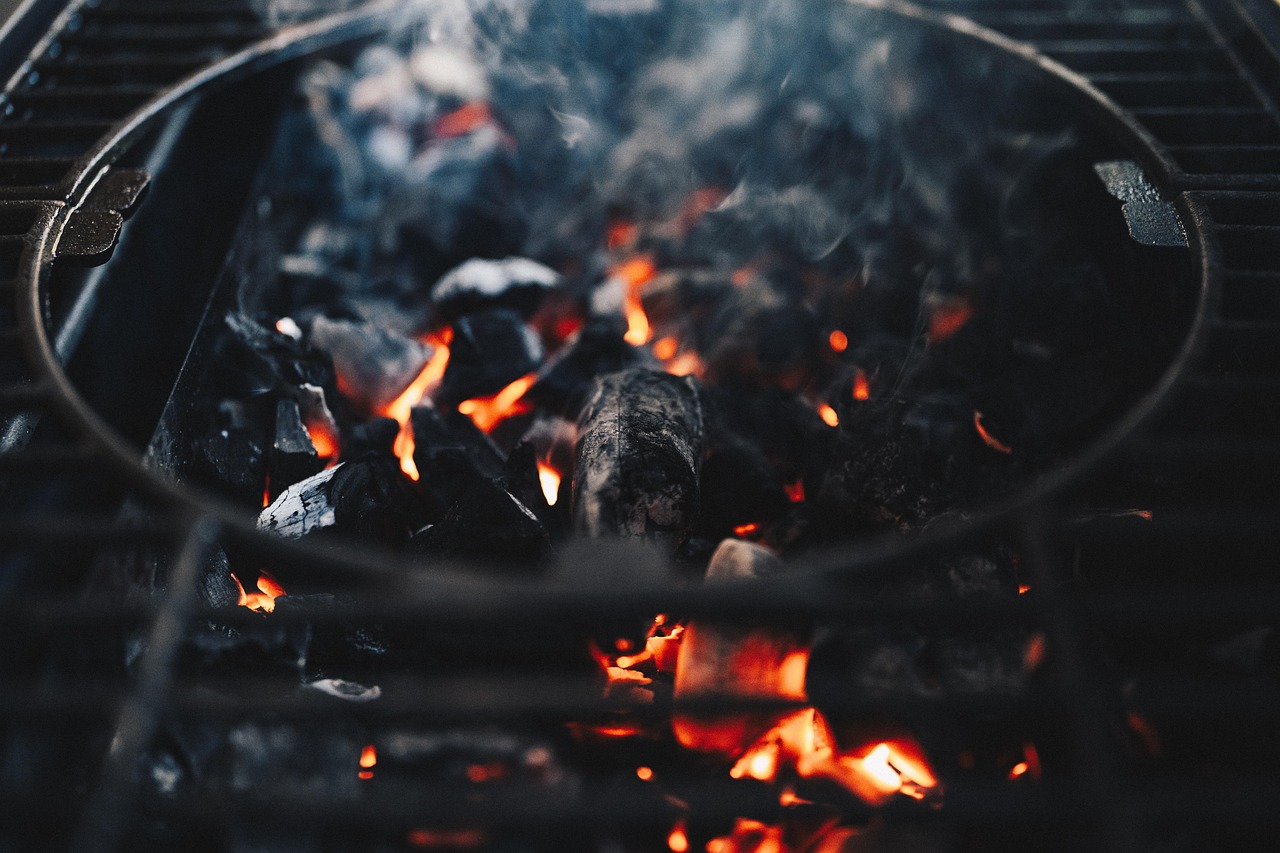 Best Gas Grills of 2026: Tested Models & Top Picks