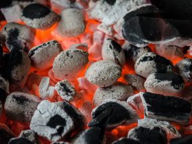 Ultimate Guide to Choosing the Best Gas Grill for Your Outdoor Cooking Needs