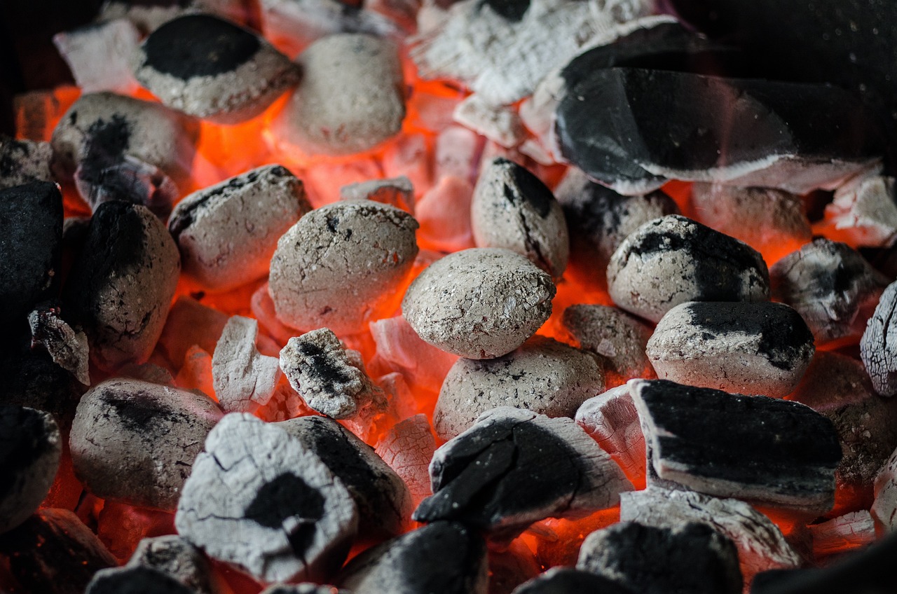 Ultimate Guide to Choosing the Best Gas Grill for Your Outdoor Cooking Needs