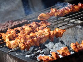 Traeger vs. Camp Chef: Exploring the Best Pellet Grill for Your Backyard BBQ Needs